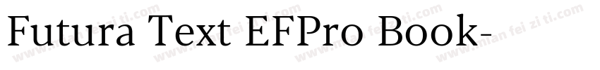 Futura Text EFPro Book字体转换